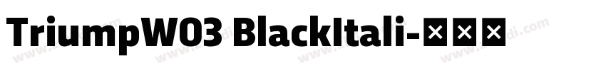 TriumpW03 BlackItali字体转换 TriumpW03 BlackItali字体转换